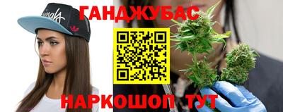 Альфа ПВП Кандалакша